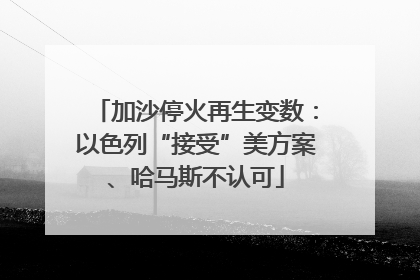 加沙停火再生变数：以色列“接受”美方案、哈马斯不认可